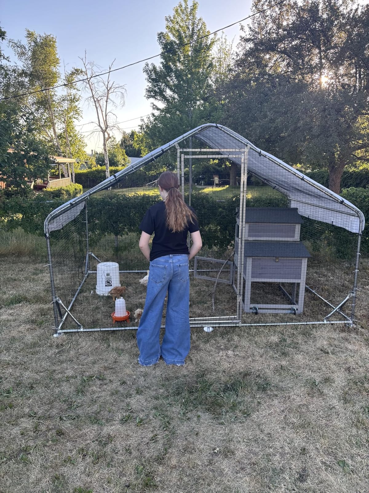 Metal Chicken Coop with Hardware Cloth, Walk-in Poultry Cage for Hen Duck customer photo 1