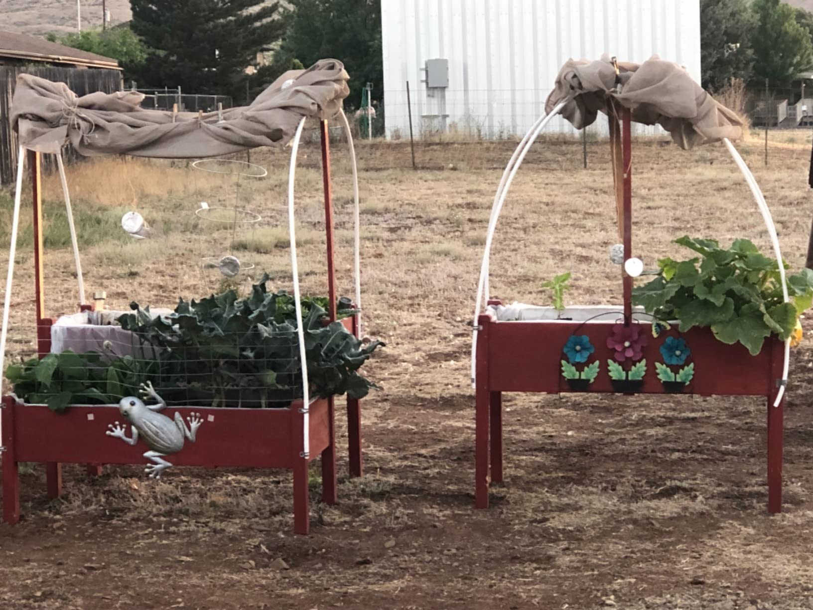 AMERLIFE Raised Garden Bed, 72x24x30 Inches Elevated Wood Planter Box customer photo 2