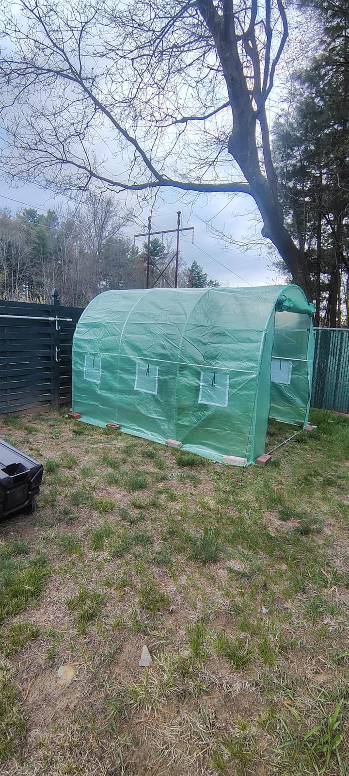 VEVOR Walk-in Greenhouse, 76.8