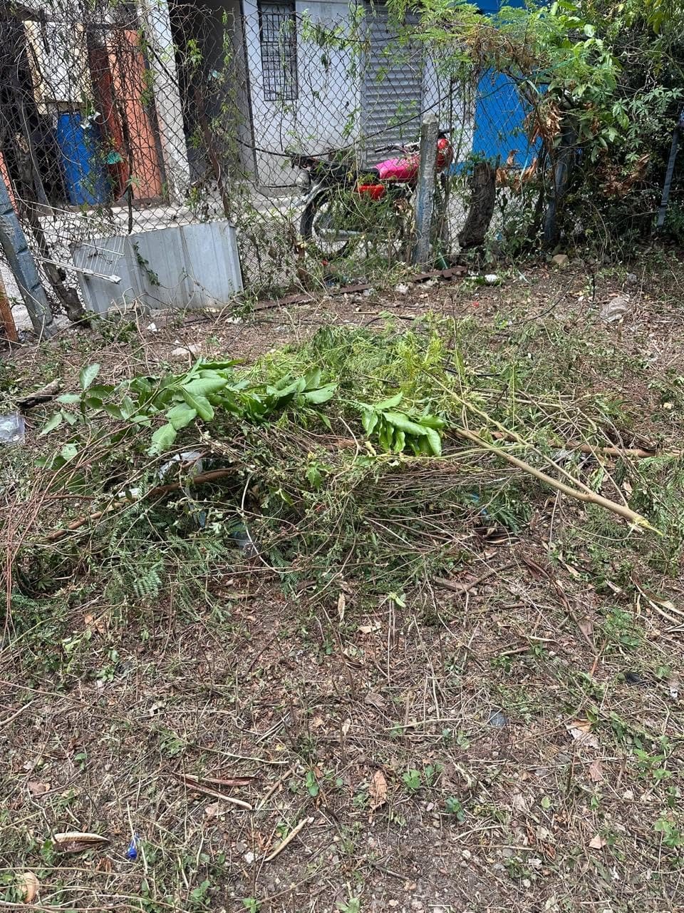 SEESII 2-in-1 Electric Pole Saws for Tree Trimming, Brushless Motor customer photo 2