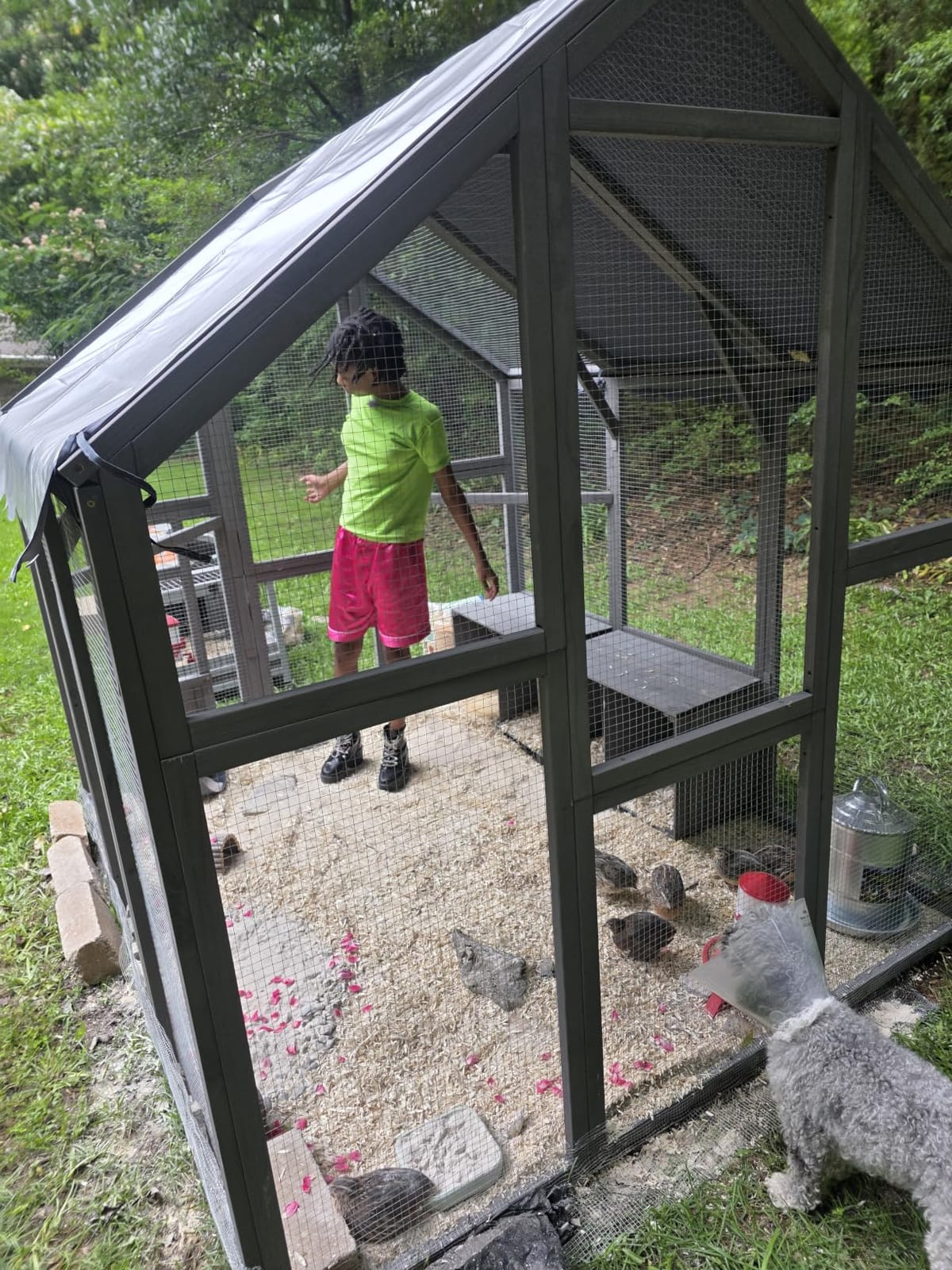 PawHut Large Wooden Chicken Coop for 8-10 Hens 83
