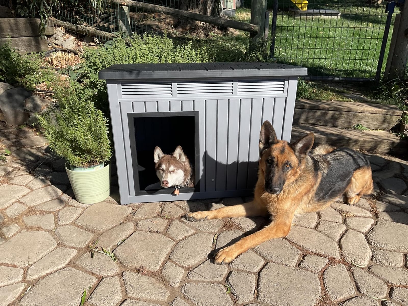 Fancyango Outdoor Dog House for Large Dogs, Outside Dog House with Weatherproof Roof, XL Dog House (Deep Grey, 42.8