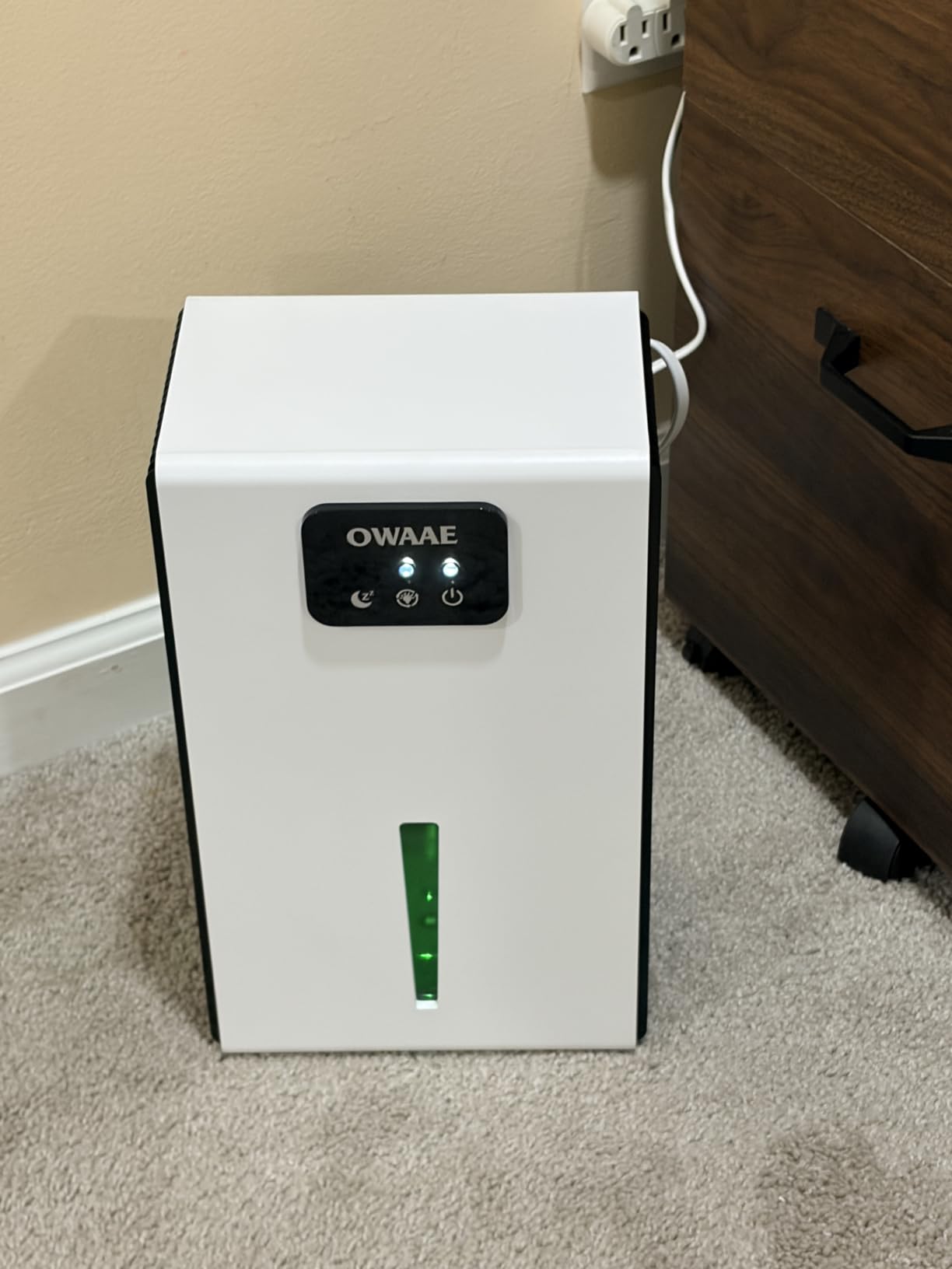 Dehumidifier for Home with Auto Shutoff Sleep Mode, 1000 Sq Ft customer photo 1