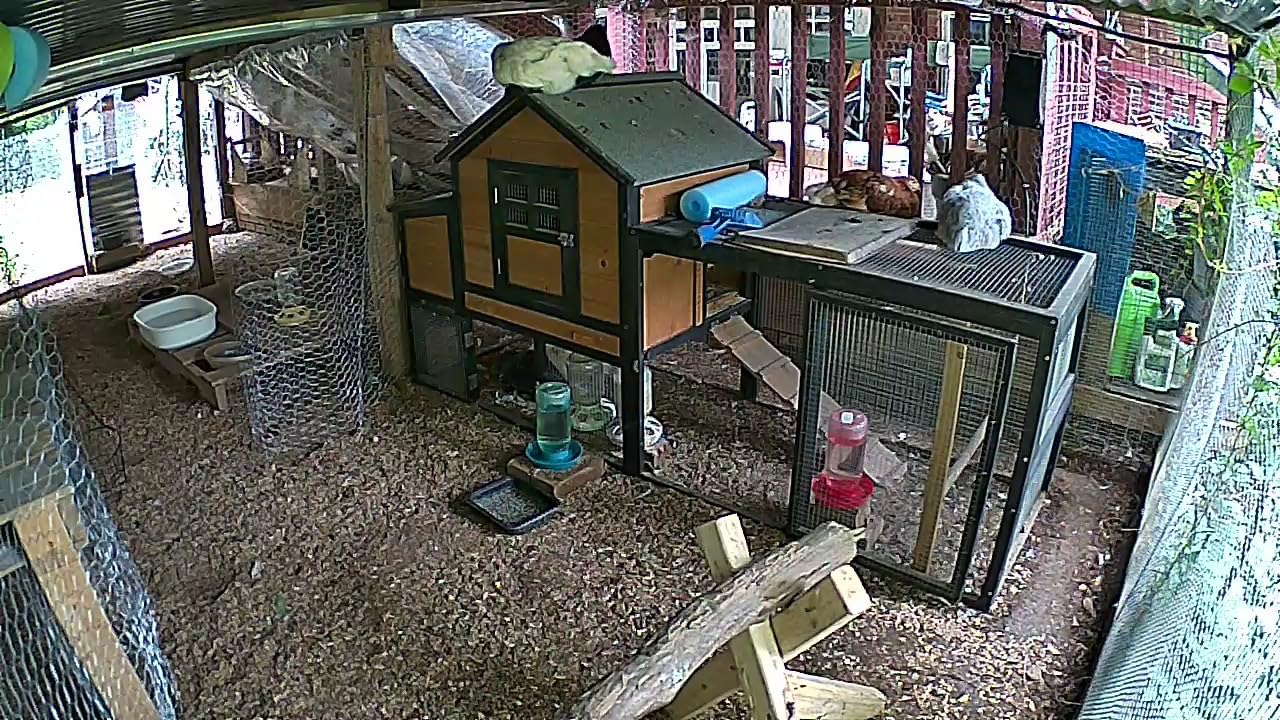 Large Chicken Coop Outdoor Wooden Duck Hen House Poultry Pet Cage 76