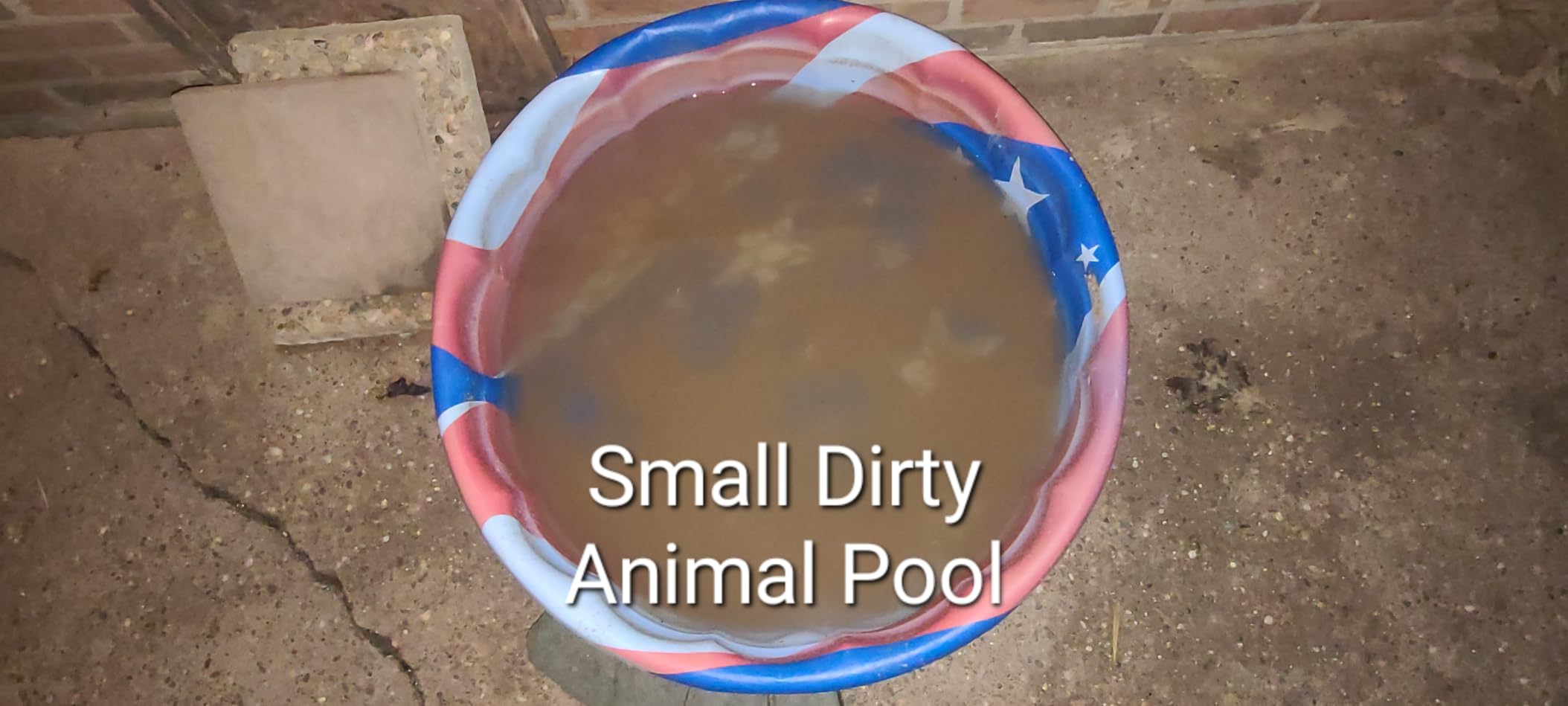 S2 Pool Vacuum Robot for Above Ground Pools, 90-Min Runtime, 861 Sq.Ft Coverage, Cordless Operation, Efficient Cleaning Performance, Dual-Layer Filtration, Panda Black customer photo 1