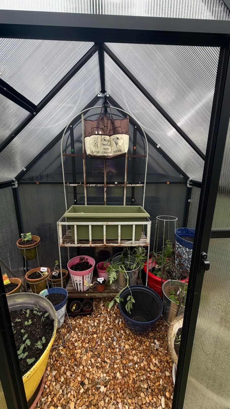 10X12FT Greenhouse with Thermometer, Large Aluminum Greenhouse for Outdoors customer photo 1