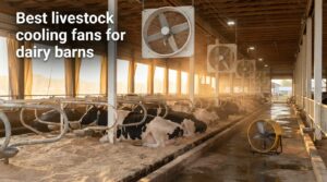 Best livestock cooling fans for dairy barns
