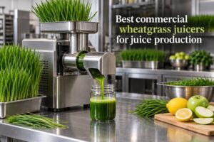 Best commercial wheatgrass juicers for juice production