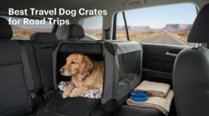 Best Travel Dog Crates for Road Trips