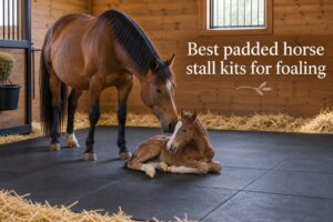 Best padded horse stall kits for foaling