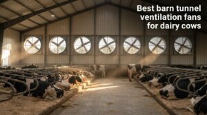 Best barn tunnel ventilation fans for dairy cows