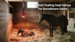 Best foaling heat lamps for broodmare barns