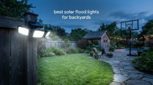 best solar flood lights for backyards