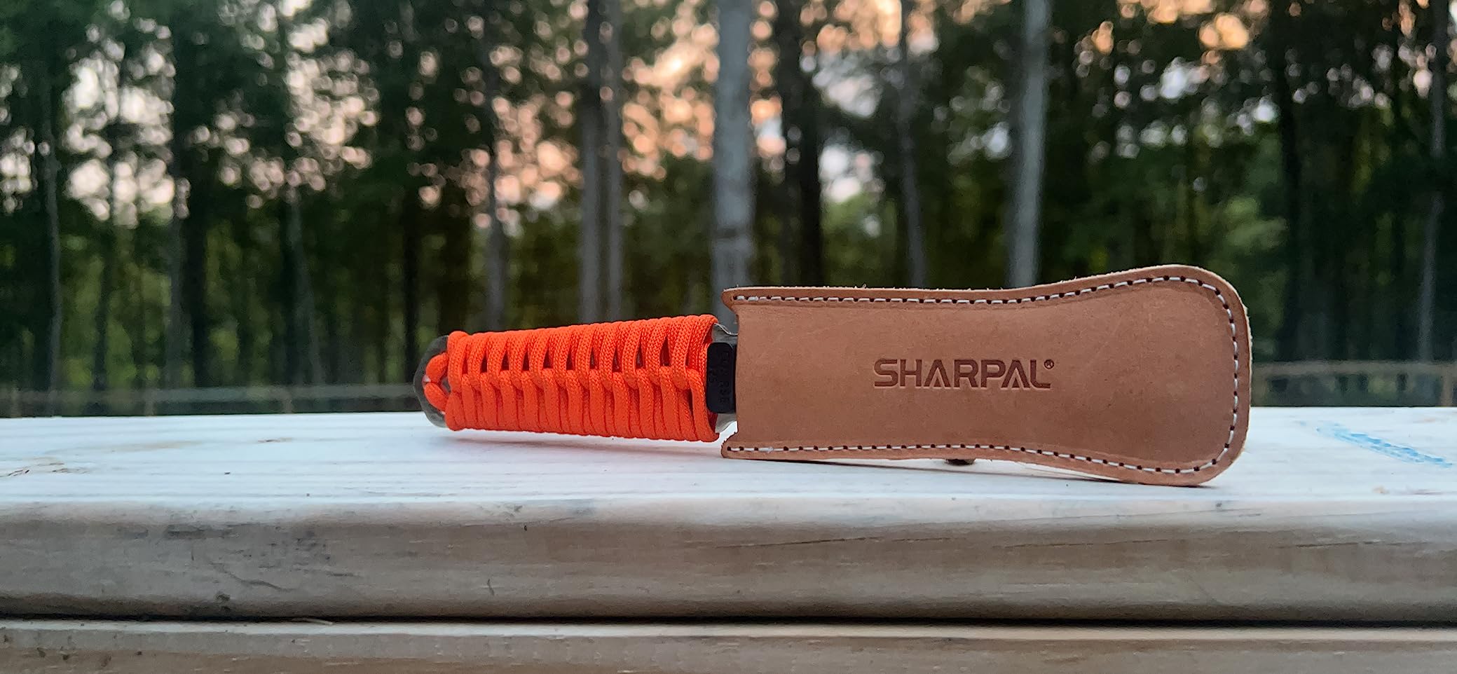 SHARPAL 181N Dual-Grit Diamond Sharpening Stone File customer photo 2