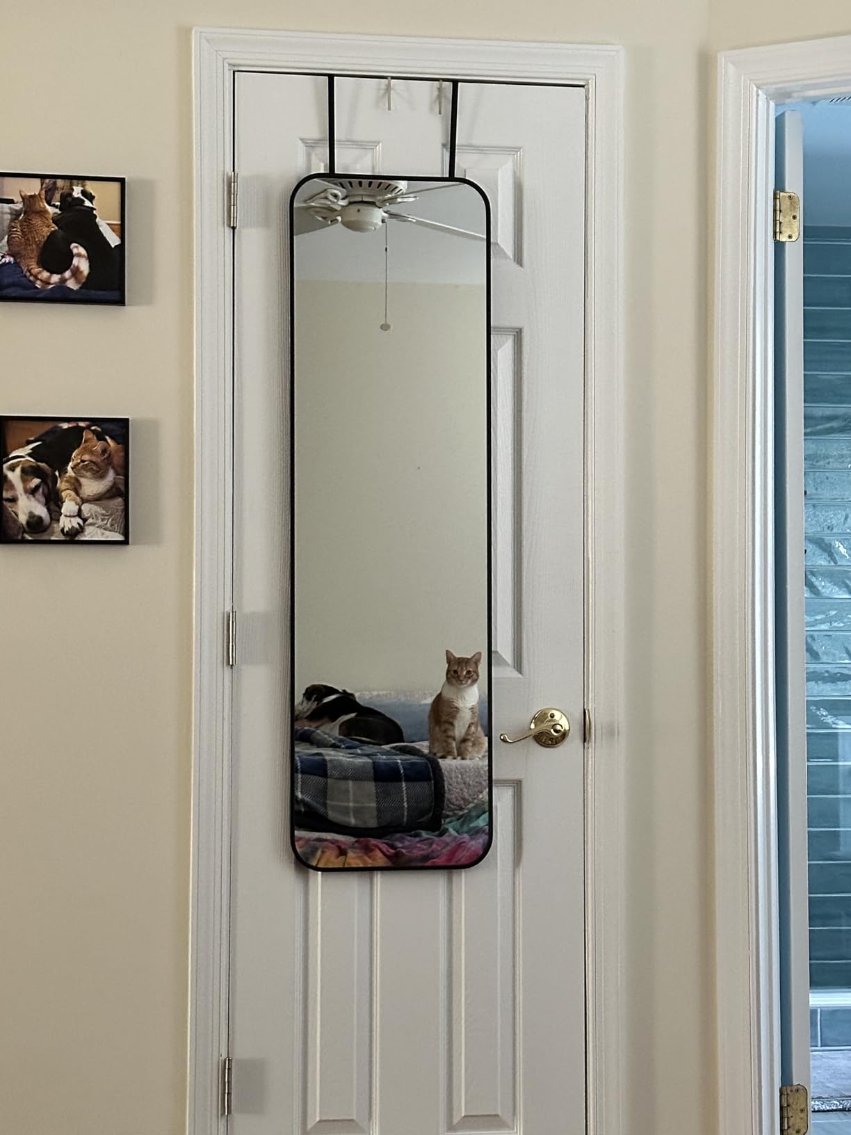 SCWF-GZ 47x14 Full Length Mirror Over the Door Hang or Wall Mounted Black customer photo 2