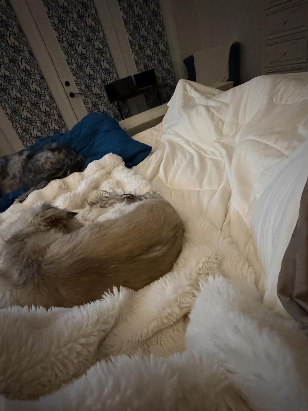 REST® Evercool® Cooling Comforter Blanket for Hot Sleepers, Full/Queen customer photo 1