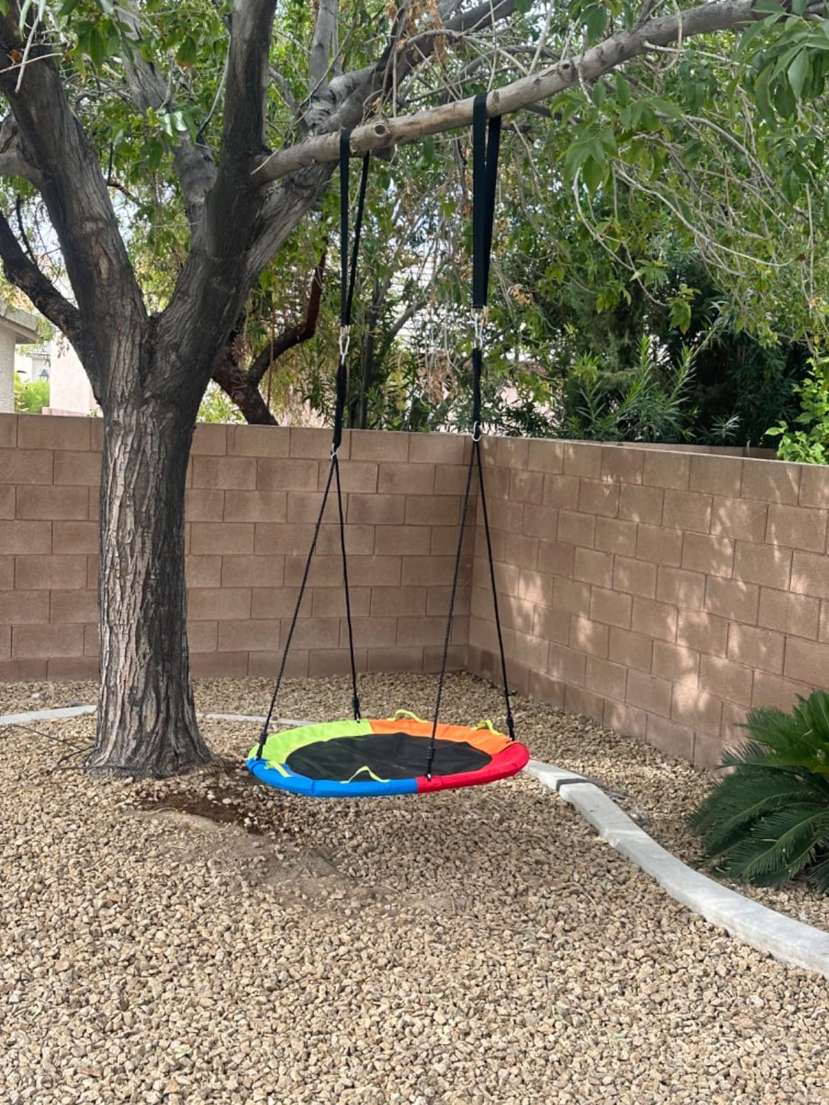 Tree Swing, Saucer Swing, 48 Inch Swing for Backyard Outdoor, Multicolor customer photo 1