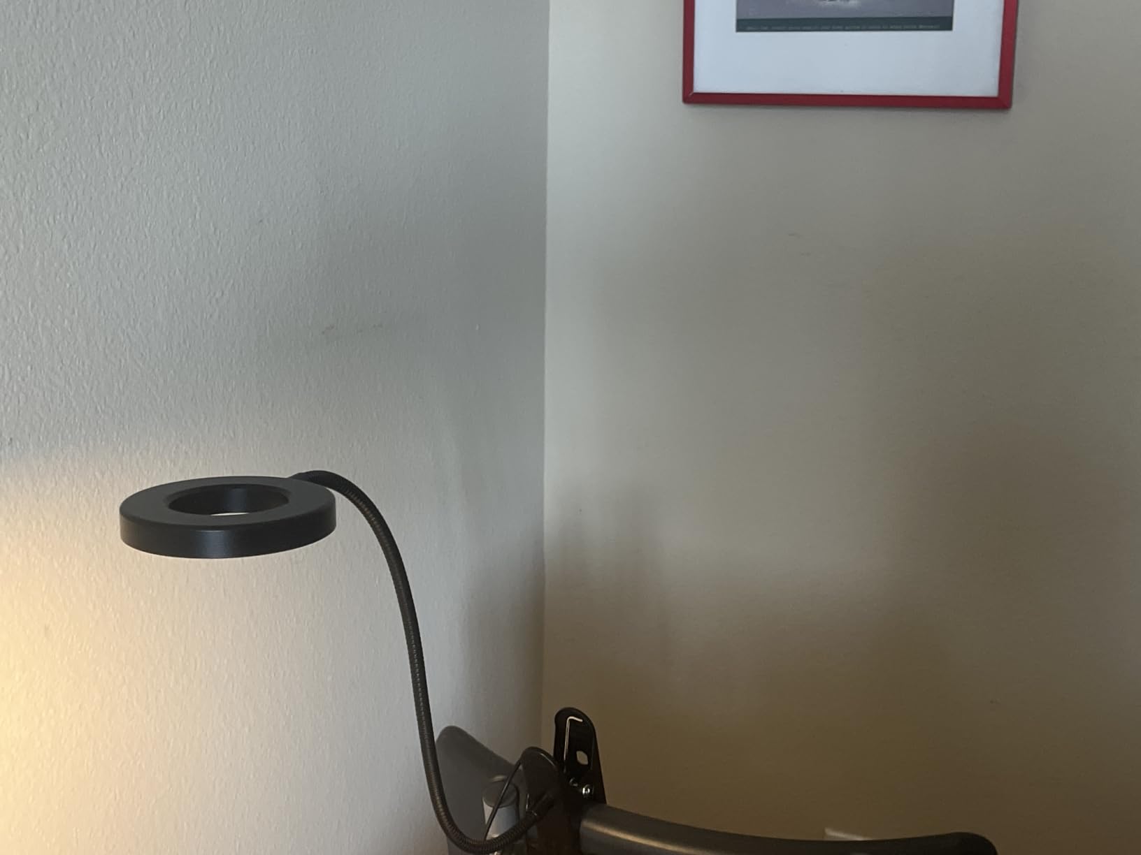 Woputne Desk Lamp Clip on Light for Bed Book Reading (Black) customer photo 2