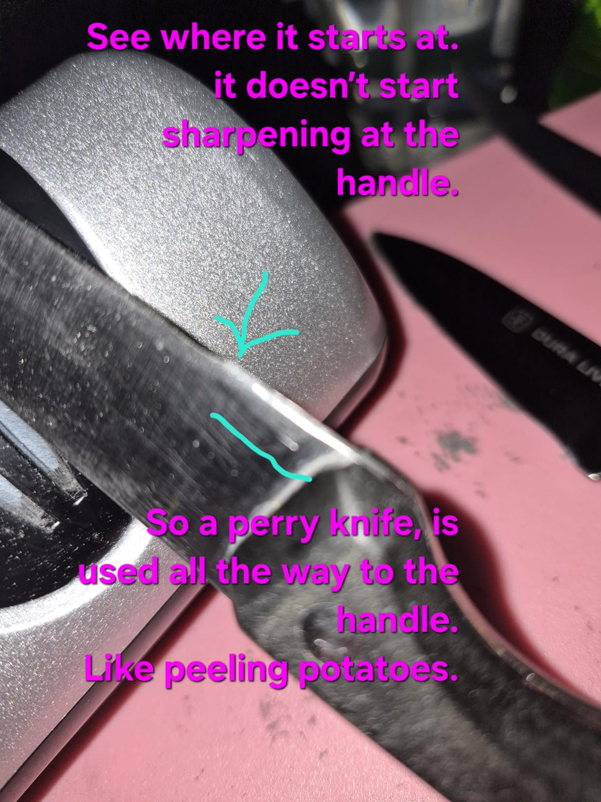 Electric Knife Sharpener, Professional Kitchen Knife Sharpener for Home Use, 2 Stages of Coarse Sharpening & Fine Polishing, Metal Dust Collection Box for Easy Cleaning, Silver Gray customer photo 2