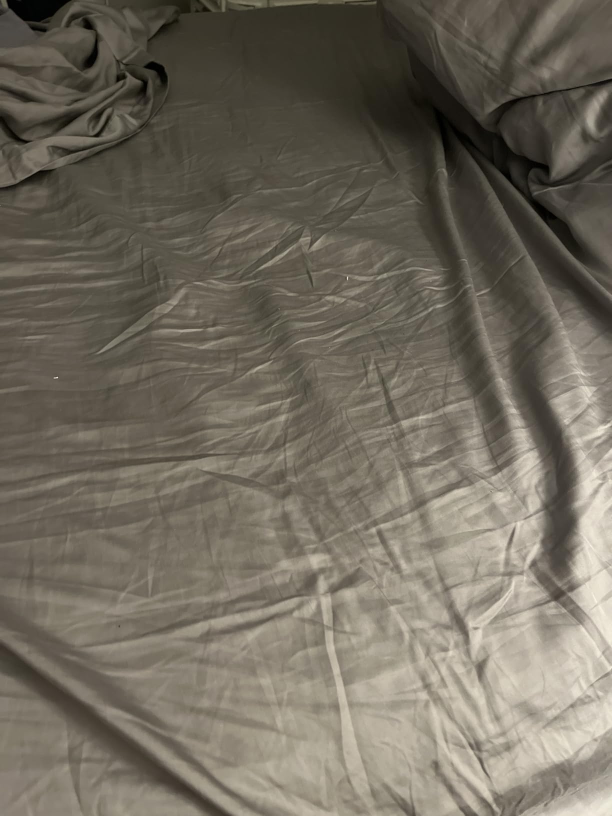 CASILVA Eucalyptus Sheets, Softer Than Silk Fibers, Queen Sheet Set customer photo 1